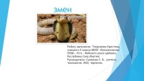 Презентация по внеурочной деятельности Змеи Татарченко Кристины, ученицы 5 класса