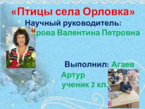 Птицы села Орловка презентация по окружающему миру на тему Мой край