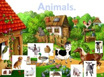 Animals открытый урок 5 класс