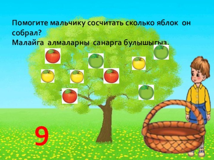 Помогите мальчику сосчитать сколько яблок он собрал? Малайга алмаларны санарга булышыгыз.9