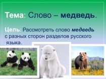 Презентация у уроку русского языка на тему Слово - медведь
