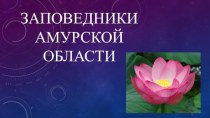 Презентация по экологии- биологии Заповедники Амурской области