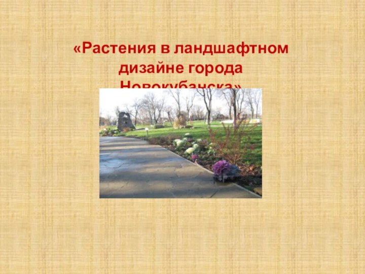 «Растения в ландшафтном дизайне города Новокубанска»