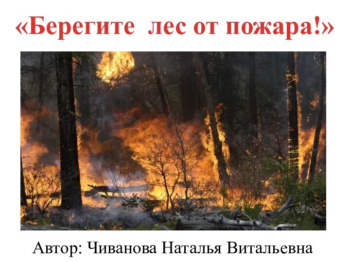 Автор: Чиванова Наталья Витальевна«Берегите лес от пожара!»