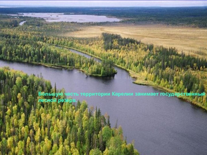 Большую часть территории Карелии занимает государственный лесной резерв.