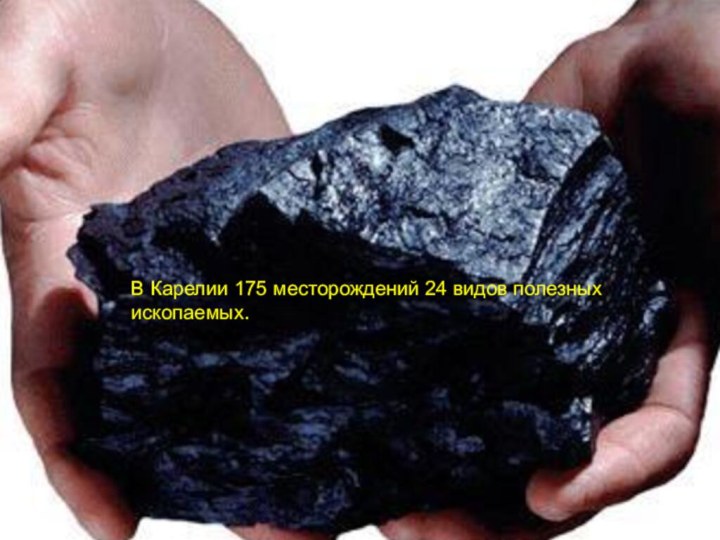 В Карелии 175 месторождений 24 видов полезных ископаемых.