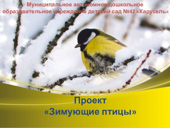 Проект «Зимующие птицы» Муниципальное автономное дошкольное образовательное учреждение детский сад №42 «Карусель»