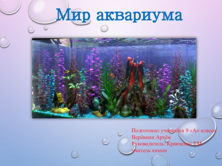 Мир аквариумаПодготовил учащийся 9 «А» класса Верёвкин АртёмРуководитель: Кравченко Т.М. учитель химии