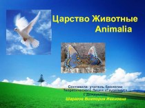 Презентация по биологии на тему Царство Животные(10 класс)