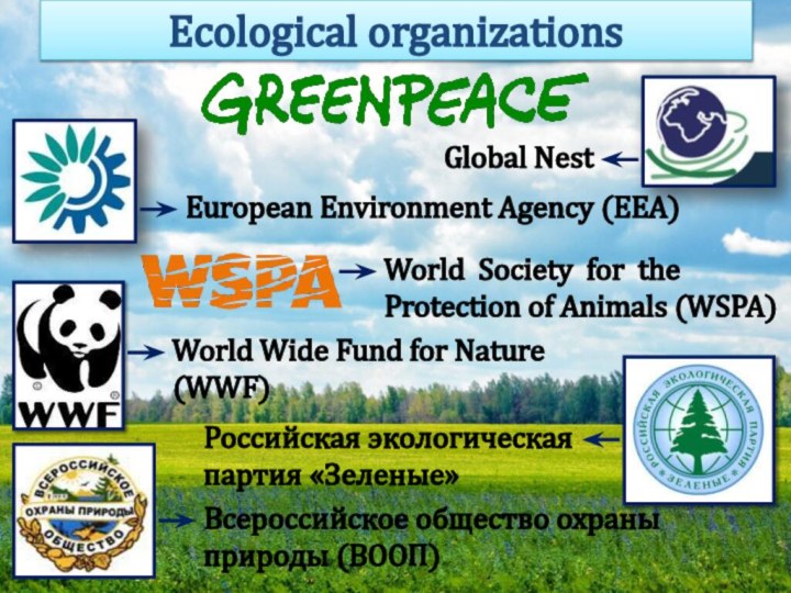 Ecological organizations Global NestWorld Society for the Protection of Animals (WSPA) European