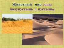 Презентация по географии на тему Животный мир зоны полупустынь и пустынь (7 класс КОУ для обучающихся с ОВЗ))