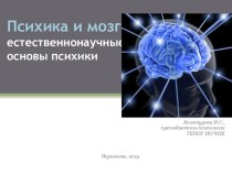 Презентация по психологии на тему Психика и мозг (2 курс)