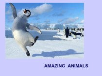 Презентация по английскому языку Удивительные животные