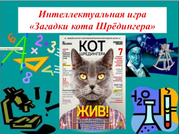 Интеллектуальная игра «Загадки кота Шрёдингера»