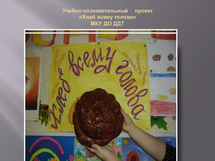 Учебно-познавательный  проект «Хлеб всему голова» МКУ ДО ДДТ