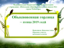 Презентация Обыкновенная горлица - птица года 2019