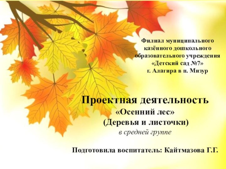 Проектная деятельность «Осенний лес» (Деревья и листочки) в средней группеПодготовила воспитатель: Кайтмазова