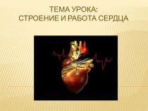 Урок, презентация: Строение сердца
