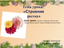 Презентация по ботанике на тему Строение цветка ( 6 класс)
