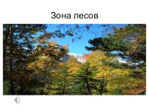 Презентация по окружающему миру на тему Леса России (4 класс)