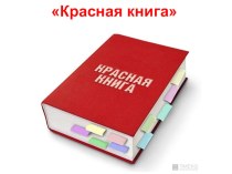 Презентация к уроку Красная книга России