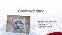 Презентация по биологии Снежный барс