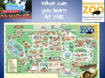 Что ты узнал о зоопарке?