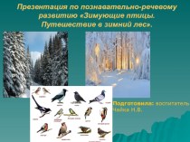 Презентация по познавательно-речевому развитию Зимующие птицы. Путешествие в зимний лес.