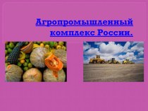 Проверочная работа по теме Агропромышленный комплекс России 9 класс