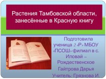 Презентация Растения Тамбовской области, занесённые в Красную книгу