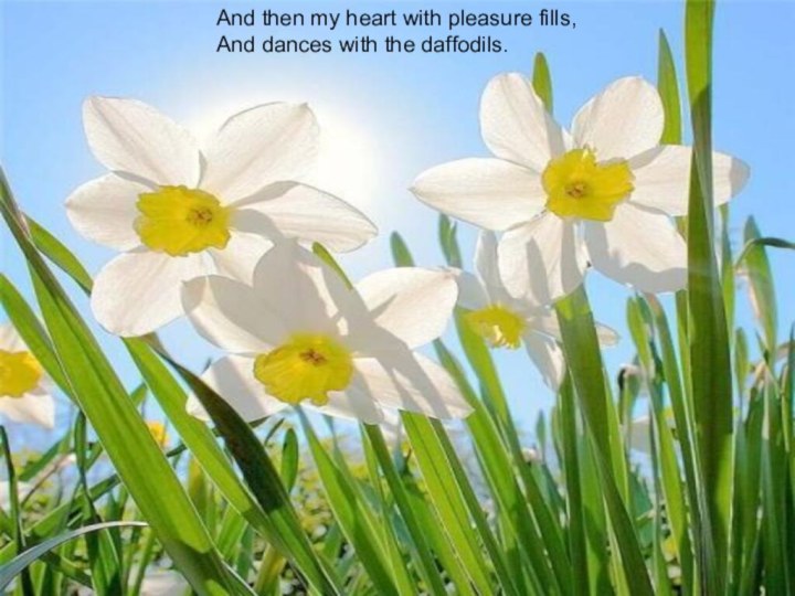 And then my heart with pleasure fills,And dances with the daffodils.