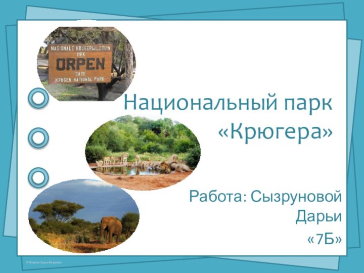Национальный парк «Крюгера»Работа: Сызруновой Дарьи «7Б»