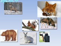 Презентация по окружающему миру 1 класс на тему Жизнь диких животных зимой