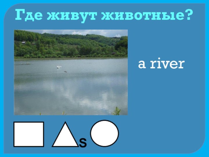 Где живут животные?a riverS