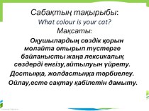 What colour is your cat? (5 form)