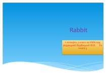 Презентация по английскому языку на тему Rabbit (3 класс)