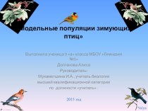 Презентация к проектуМодельные популяции птиц