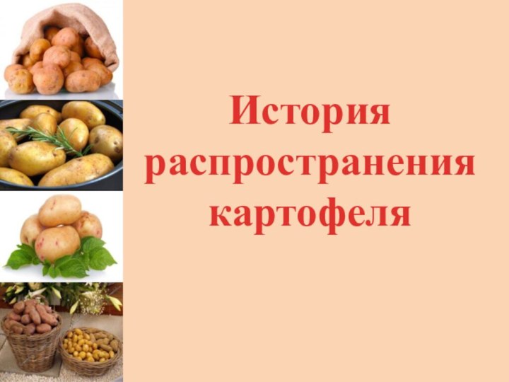 История распространения картофеля
