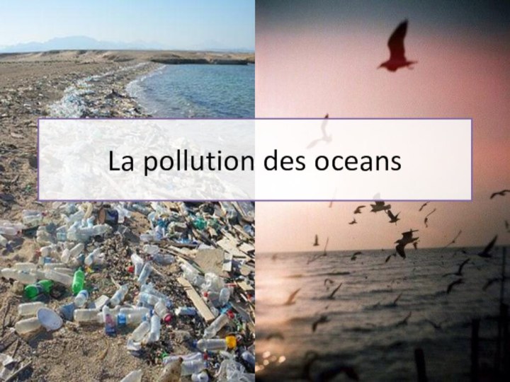La pollution des oceans