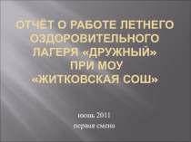 Презентация - отчёт ДОЛ Дружный на базе МБОУ Житковская СОШ
