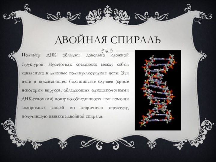 Двойная СпиральПолимер ДНК обладает довольно сложной структурой. Нуклеотиды соединены между собой ковалентно
