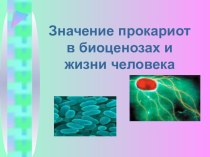 Электронный образовательный ресурс по биологии Значение прокариот в биоценозах и жизни человека