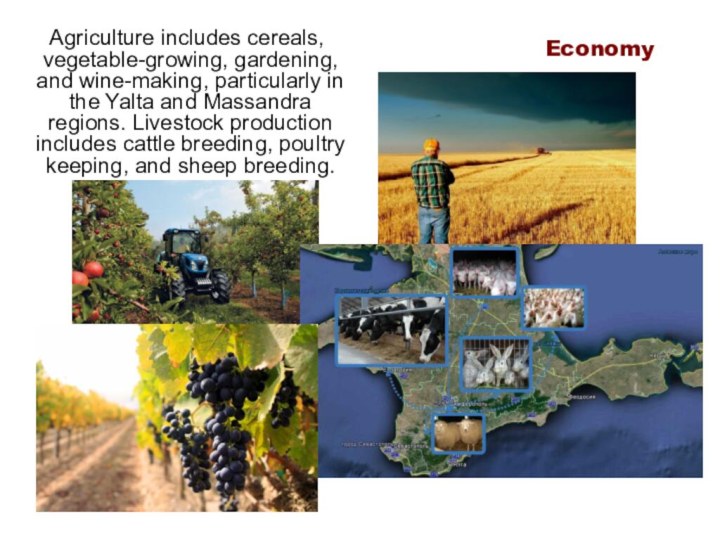 Agriculture includes cereals, vegetable-growing, gardening, and wine-making, particularly in the