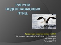Презентация внеклассного мероприятия по ИЗО Водоплавающие птицы. Автор: Горчакова Ольга Владиславовна