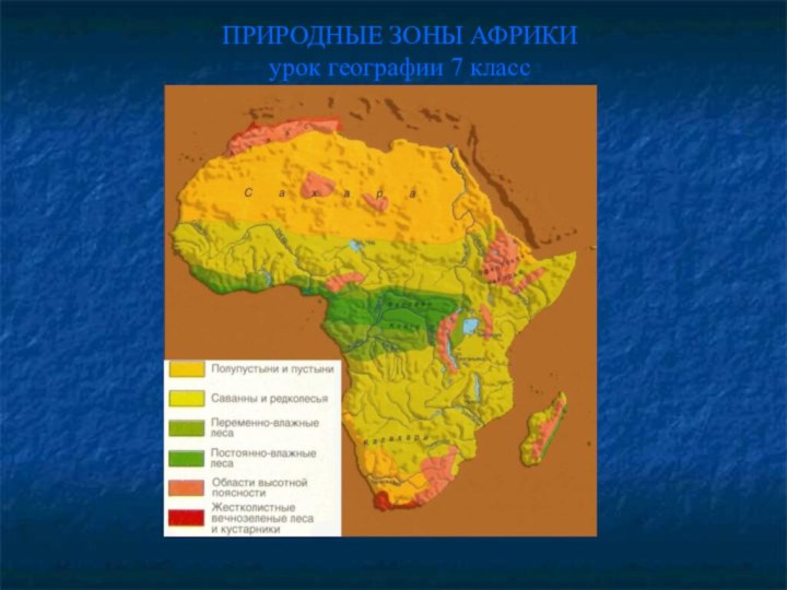 ПРИРОДНЫЕ ЗОНЫ АФРИКИ урок географии 7 класс