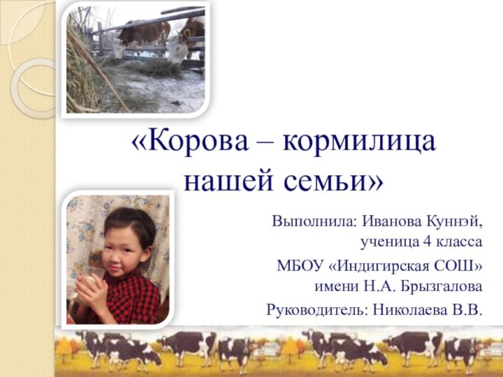 «Корова – кормилица нашей семьи»Выполнила: Иванова Куннэй, ученица 4 класса МБОУ «Индигирская