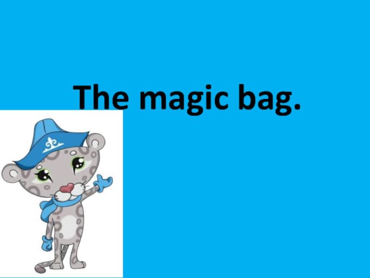 The magic bag.