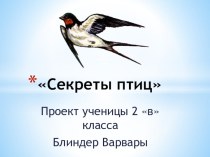 Презетация проекта Секреты птиц