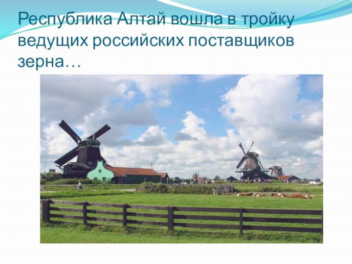 Республика Алтай вошла в тройку ведущих российских поставщиков зерна…