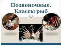 Презентация по биологии на тему Внешнее строение рыб (7 класс)